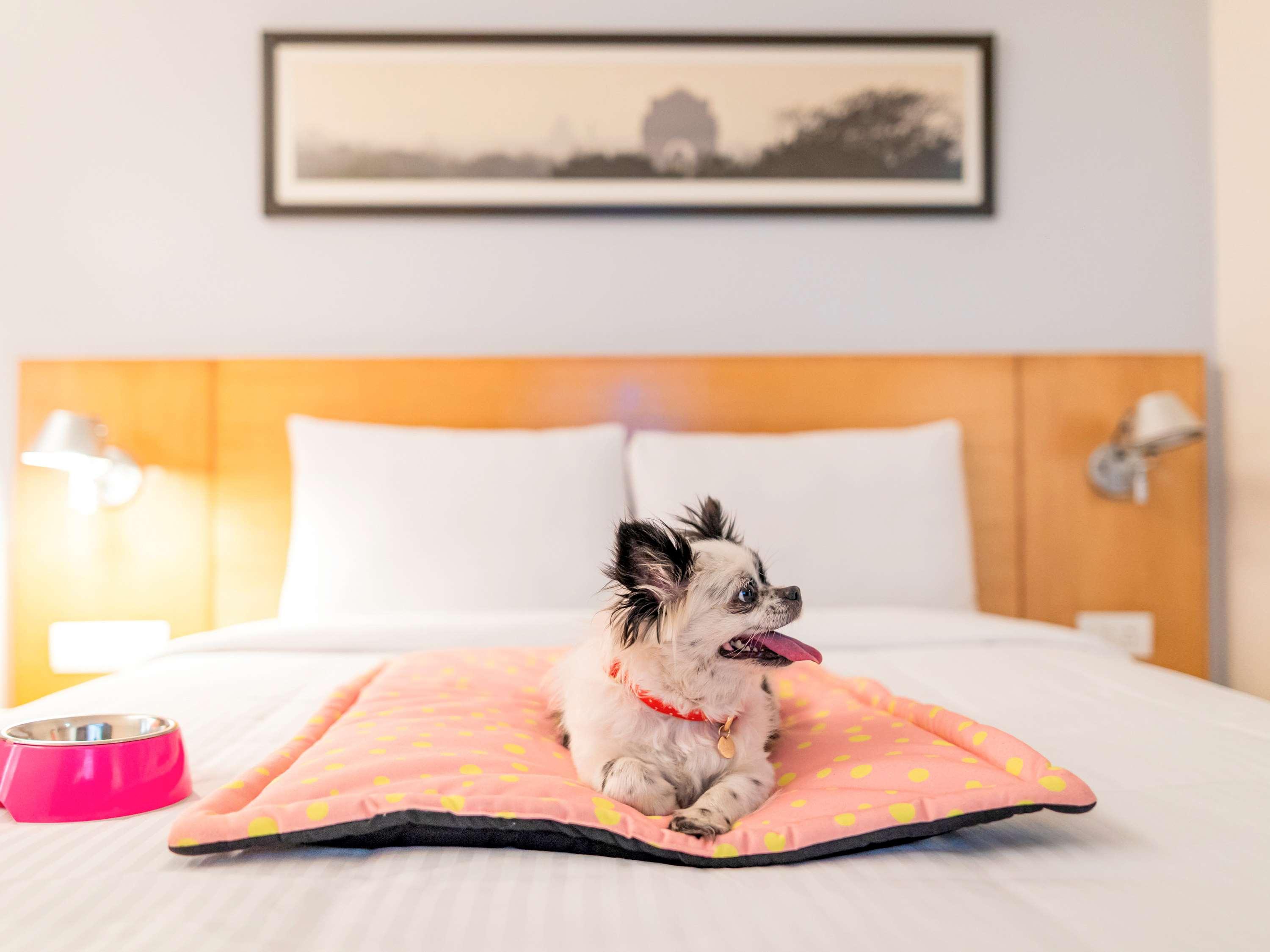 Ibis Jaipur City Centre - An Accor Brand Екстер'єр фото